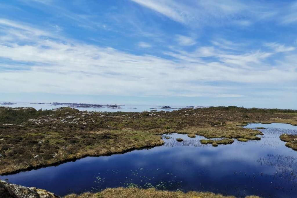 Seaside Holiday Home, Great For Fishing & Hiking Hellesoyni Екстер'єр фото